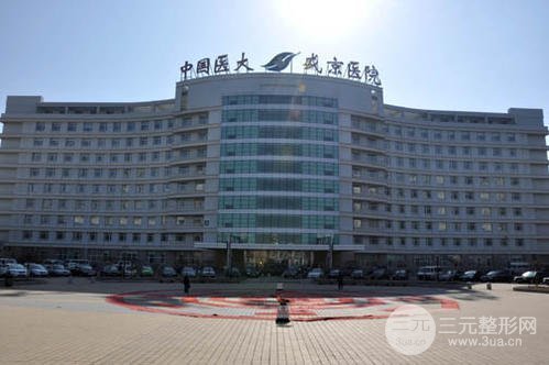 盛京医院医疗整形美容科介绍丨价格表丨自体脂肪隆胸案例参考~