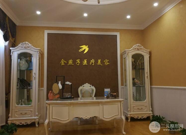 北京金燕子医疗美容诊所怎么样