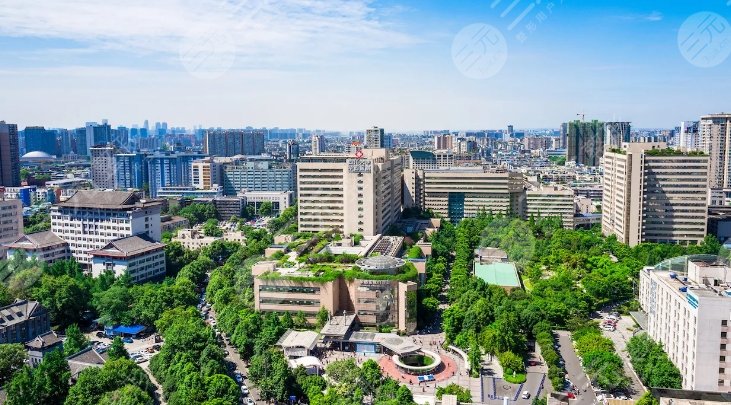 桃太郎 成都三甲整形医院排名