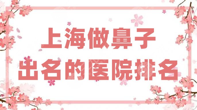 上海做鼻子出名的医院排名