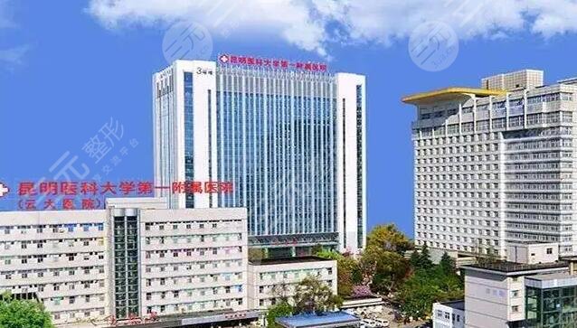 昆明康复医院：城市的疗愈绿洲