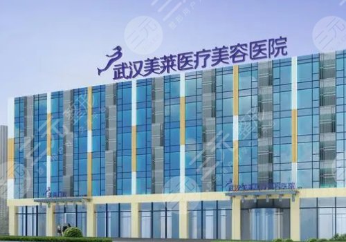 武汉整形美容医院排名前十位