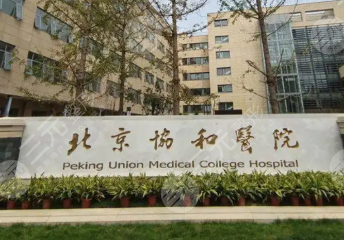 鼻部整形整容医院哪里好?