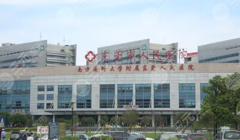 东莞人民