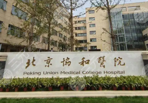 国内颧骨手术哪家医院做的好?