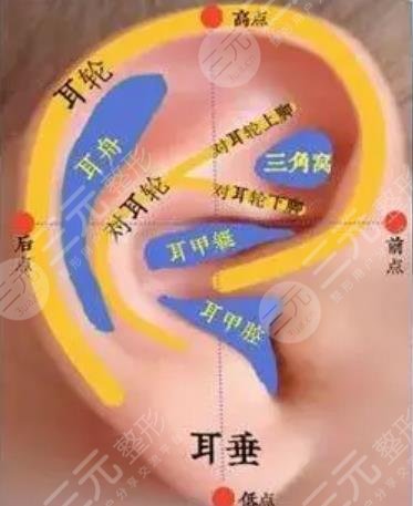 耳再造