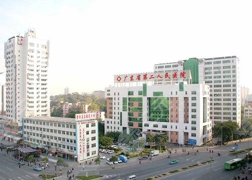 广东省第二人民医院隆鼻医生有哪些?