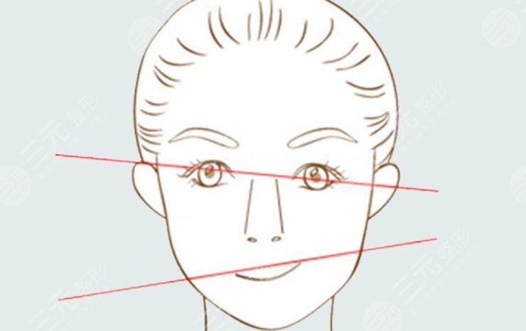 面部轮廓
