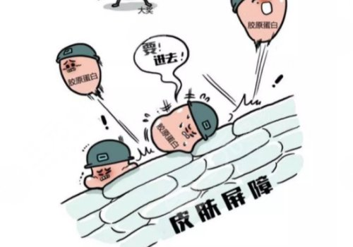 十大胶原蛋白品牌排行榜10强