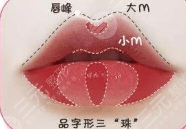花瓣唇