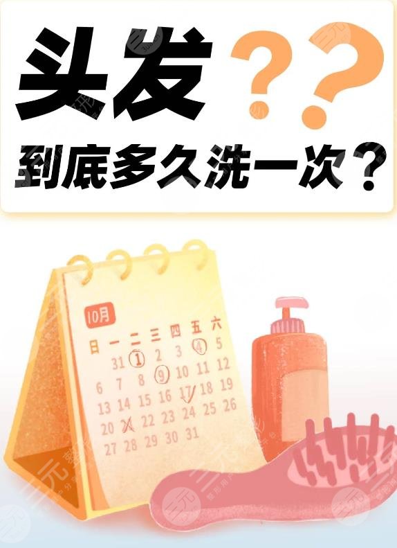 多久洗一次头发最好