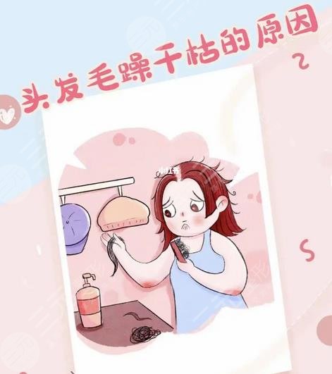 头发毛躁干枯怎么改善