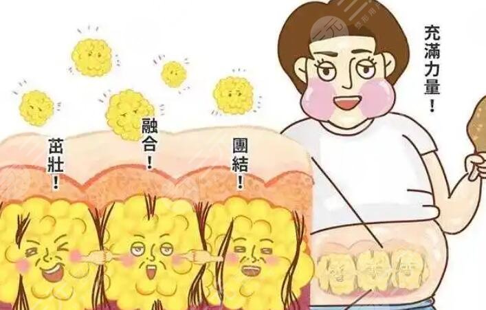 溶脂