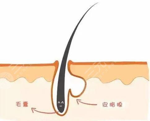 适当运动