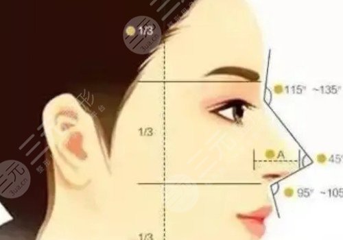 鼻部双C线怎么做？