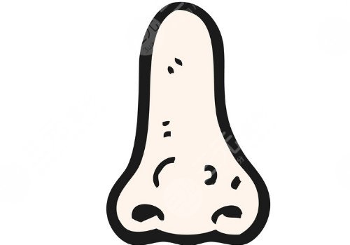 鼻部双C线怎么做？
