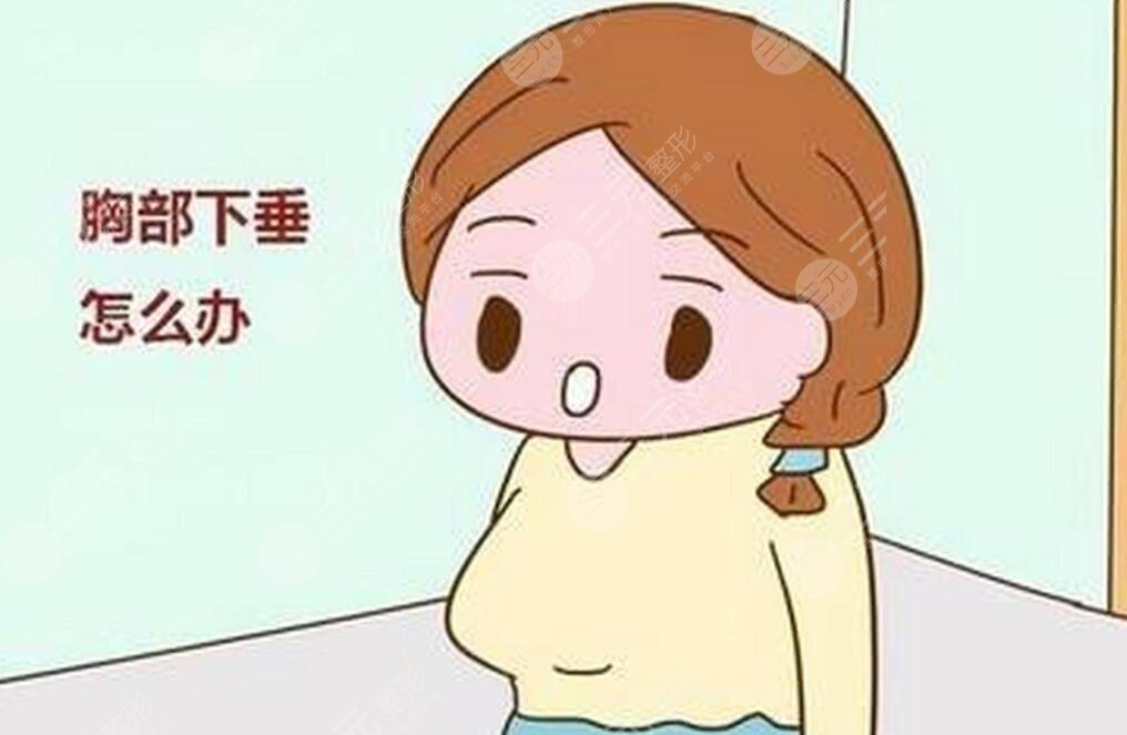 乳房双环悬吊