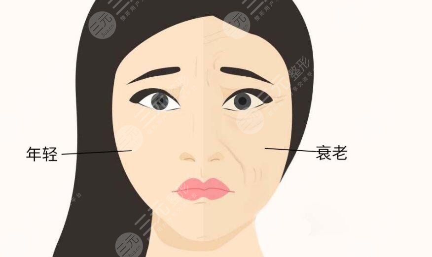 皮肤松弛