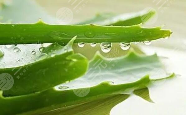 芦荟保湿面膜