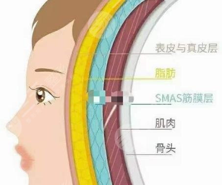 骨相抗衰和皮相抗衰