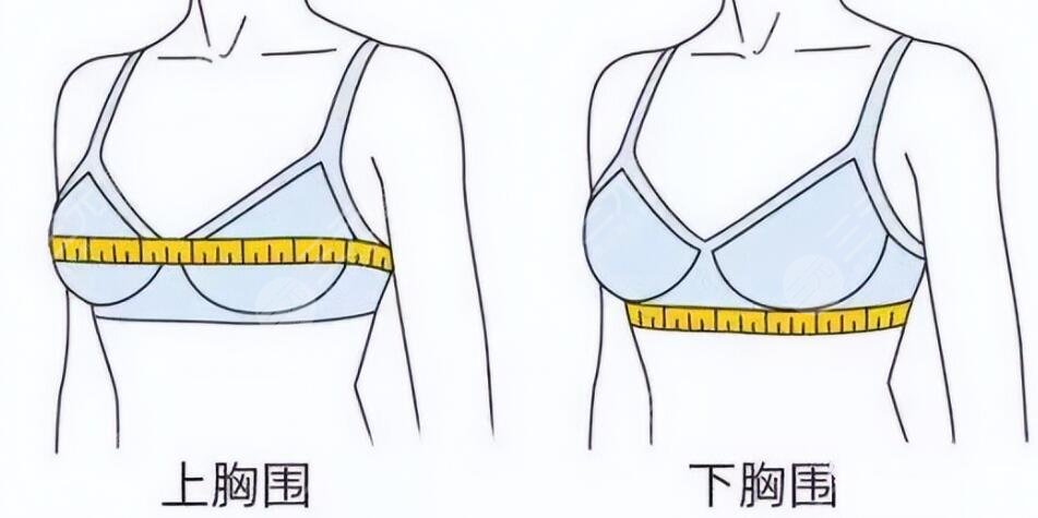 法芮娅300cc丰胸多久能变软？