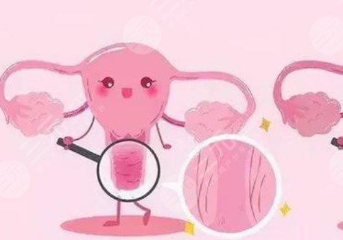 女性私处修复手术大概多少钱？
