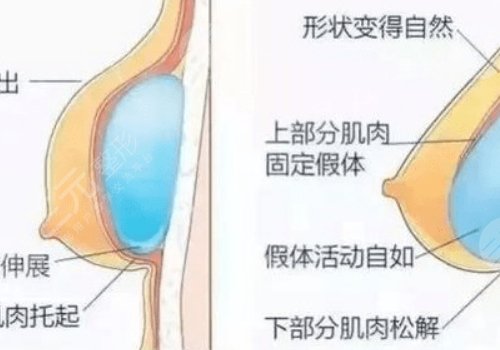 杜本军在哪家医院出诊?