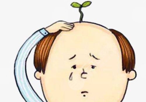 头发少怎么增加发量?