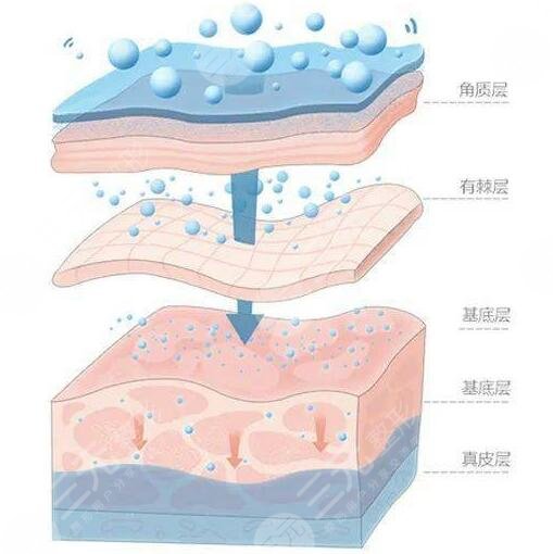 补充大量水分