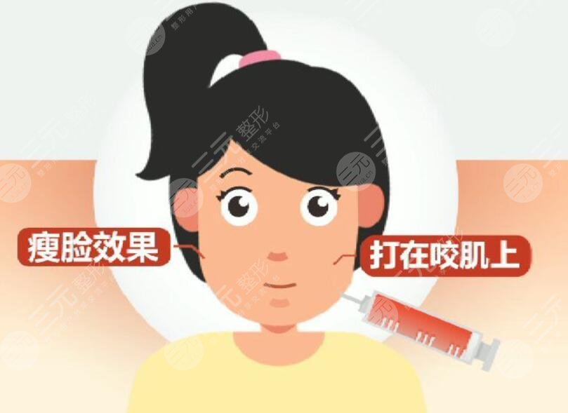 瘦脸
