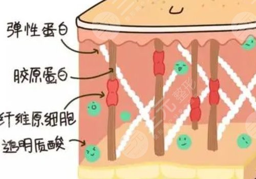 热玛吉全脸做一次多少钱？