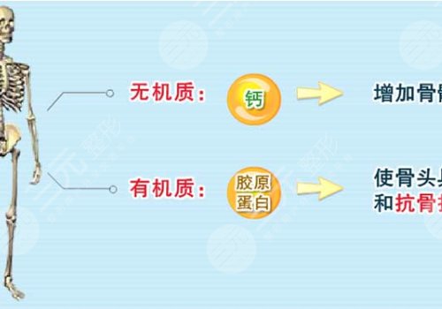 骨胶原蛋白填充的作用和功效有哪些？