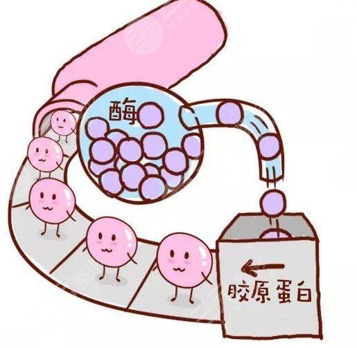 注射胶原蛋白可以维持多久?