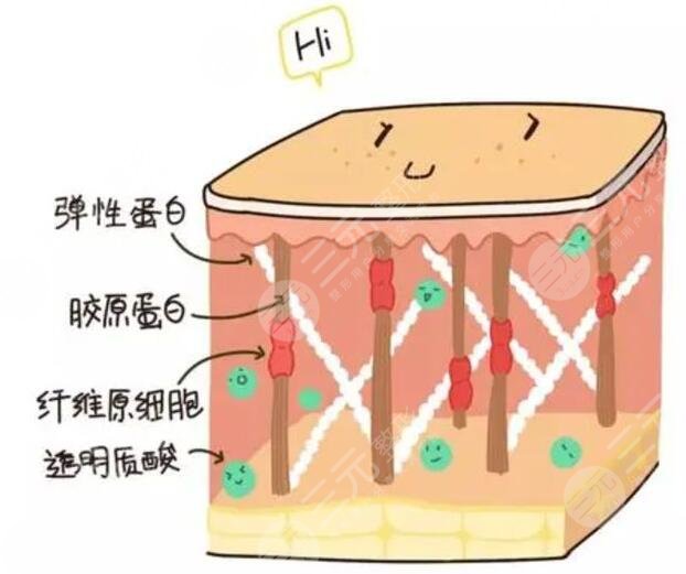 注射胶原蛋白可以维持多久?