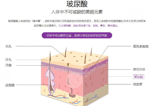 玻尿酸丰胸的作用与危害有哪些？