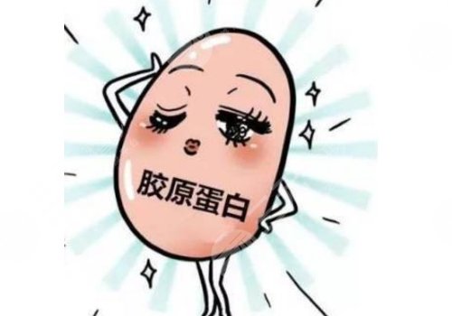  双美胶原蛋白有几种型号？