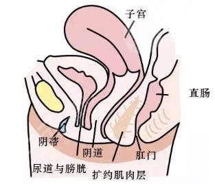 处女磨修复