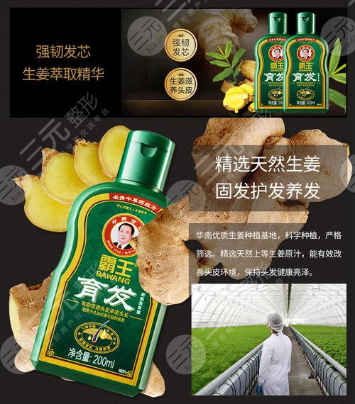 霸王防脱有用吗