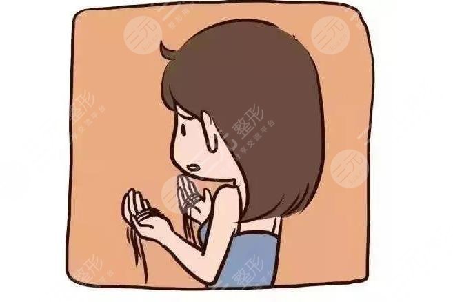 霸王防脱有用吗
