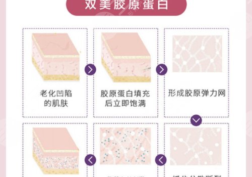 双美胶原蛋白的作用与功效