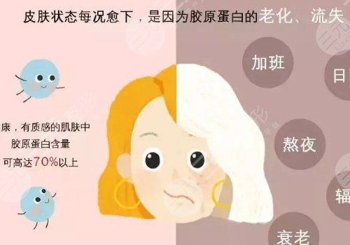 双美胶原蛋白的作用与功效