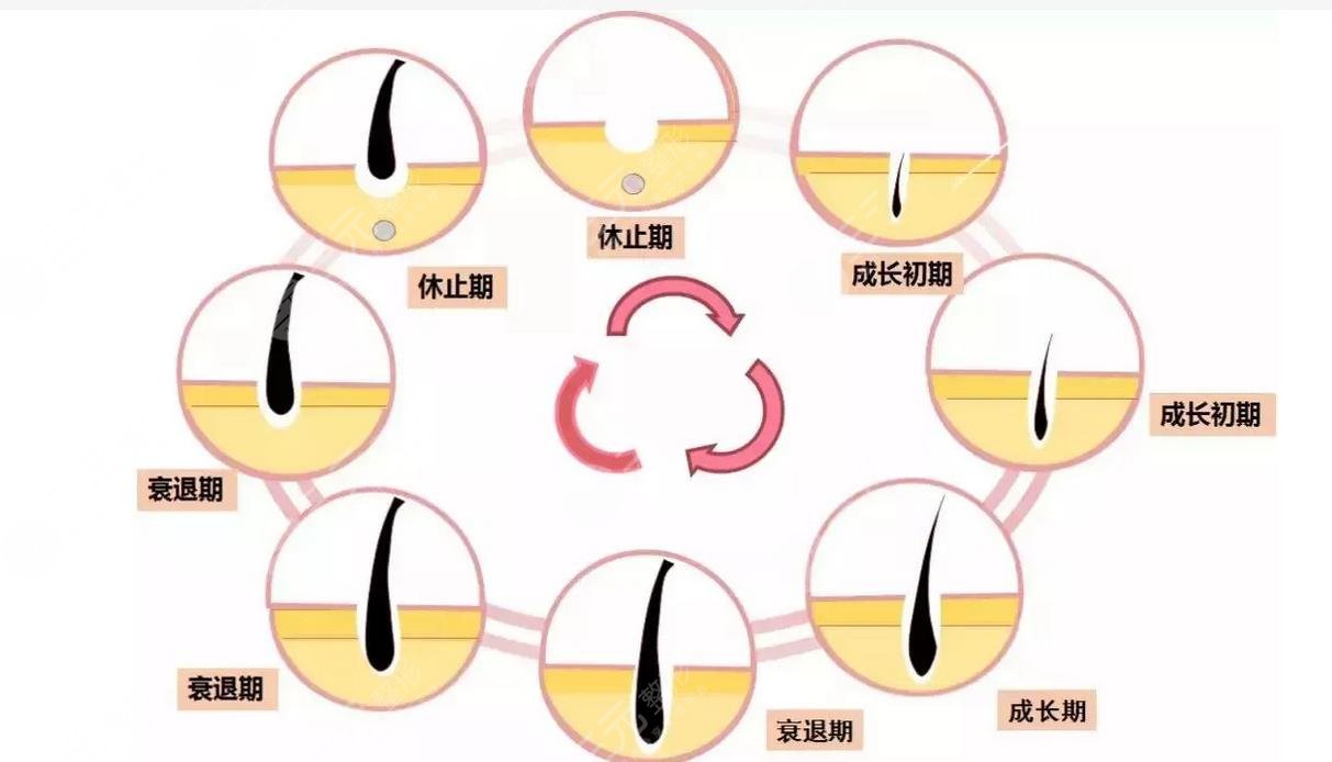 翘睫毛是怎么做的?
