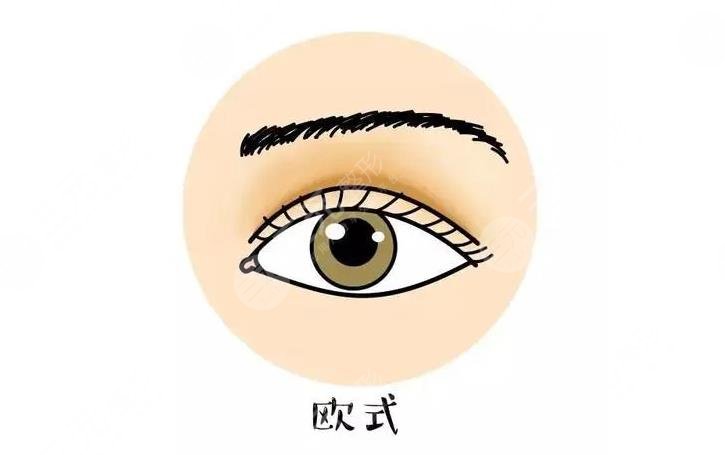 欧式双眼皮和中式双眼皮的区别