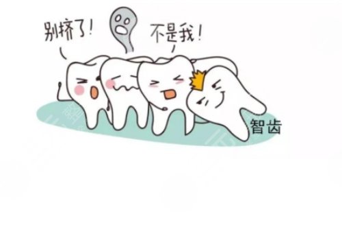 拔智齿几天才能恢复正常？