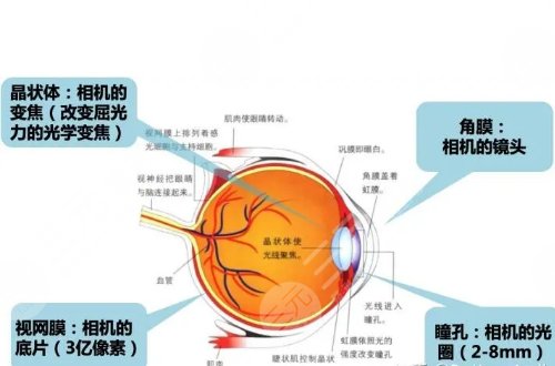 近视眼手术价格是多少？