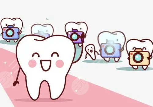 钛合金烤瓷牙多少钱一颗？