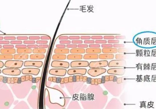 果酸换肤的功有什么?