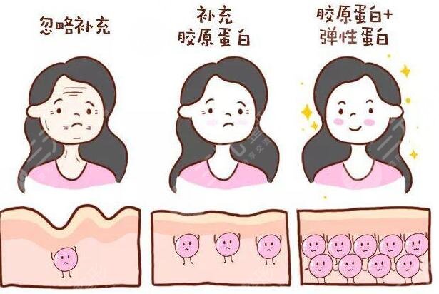 胶原蛋白的功与作用有哪些呢?