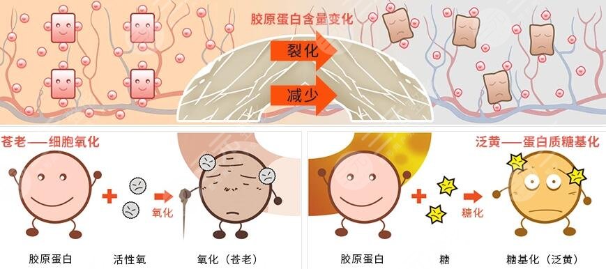 紧肤