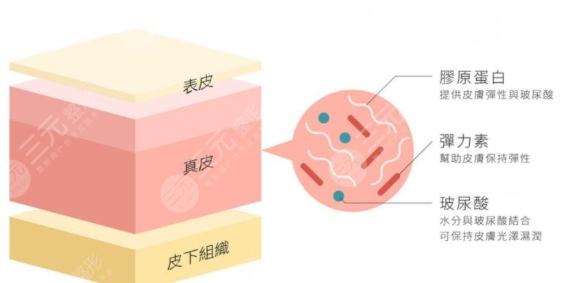 滋养